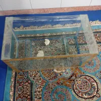 آکواریوم بزرگ کوچیک