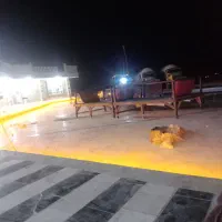 رستوران/سوپرمارکت/استراحتگاه