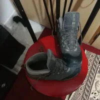 پوتین سالامون اصلی