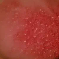 رب گوجه فرنگی اعلا خانگی