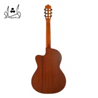 گیتار کلاسیک پارسی مدل Parsi M5 کاتوی