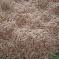 برنج معطر وارکانیک میانه