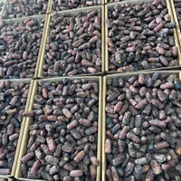 خرما پیارم .چیپس پیارم|خوردنی و آشامیدنی|تهران, جهاد|دیوار