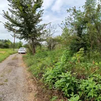 زمین-230-متری-مسکونی-با-مجوز-ساخت-متری-6-500میلیون