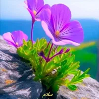 خر یدار وام ازدواج