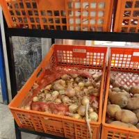 استند میوه|فروشگاه و مغازه|لشت نشا, |دیوار
