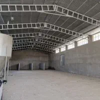 اجاره سوله ۷۰۰ متری در مرودشت روستای شول|اجارهٔ دفتر صنعتی، کشاورزی، تجاری|مرودشت, نقش رستم|دیوار