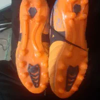 کفش استوک|کیف، کفش، کمربند|اهواز, دغاغله|دیوار