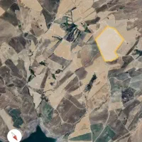 زمین کشاورزی زیویه