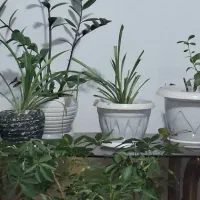 منشی کافی نت|استخدام رایانه و فناوری اطلاعات|مبارکه, |دیوار