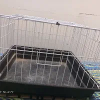 قفس