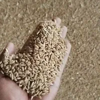 گندم درجه یک