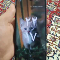 Redmi a3|موبایل|مشهد, کوی المهدی|دیوار