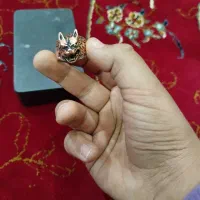 انگشتر گرگی|بدلیجات|بروجن, |دیوار