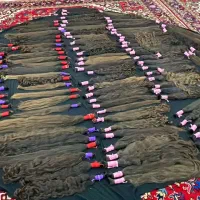 خریدار موی طبیعی