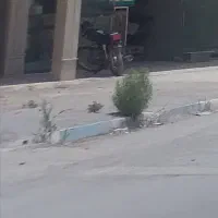 مغازه اجاره داده میشود