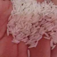 برنج هاشمی درجه ۱ اصل