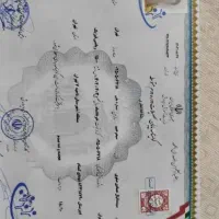 مدرک لیسانس دکترا