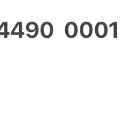 خط تلفن ثابت رند