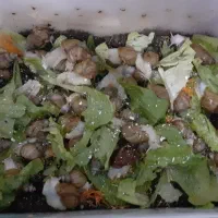 واگذاری حلزون پذیرفته میشود