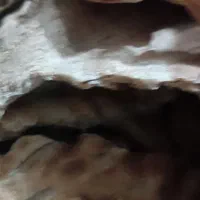 نون خوشک