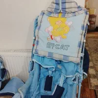 سرویس کالسکه ست کامل|کالسکه و لوازم جانبی|سلماس, |دیوار