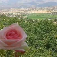 کارت ملی و کارت سوخت