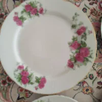 تعداد زیادی بشقاب آنتیک قدیمی|کلکسیون اشیاء عتیقه|ملایر, |دیوار