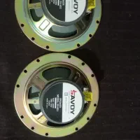 باند سینما خانگی و باند فابریک پژو