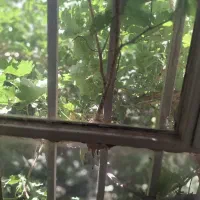 فروش|فروش خانه و ویلا|خضر آباد, |دیوار