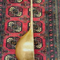 دوتار اصیل و کم‌نظیر شمال خراسان|سازهای سنتی|شیروان (خراسان), |دیوار