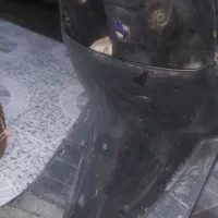 موتور پاکشتی|موتورسیکلت|رودخانه, |دیوار