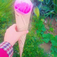 گل برای روز دانش آموز|گل مصنوعی|جاسک, |دیوار