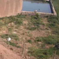 فروش-سه-دانگ-چاه-عمیق-واقع-دراراللو