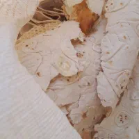 نان خشک سالم و تمیز بدون کپک