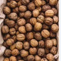 خرید گردو روی درخت