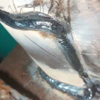 نیاز به همکاری