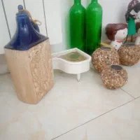 مجموعه اکسسوری و لوازم تزیینی