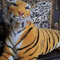 عروسک|اسباببازی|قدس, شهرقدس|دیوار