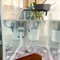 تمام تجهیزات آکواریوم + شیشه آکواریوم رایگان|ماهی|مرودشت, ابوذر شمالی|دیوار