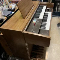 ارگ یاماها الکتون در موزیک ارژنگ