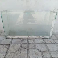 اکواریم