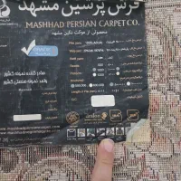 فرش کرم سرمه ای|فرش|سبزوار, شرق کال میانی|دیوار