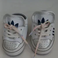 دوعدد پاپوش