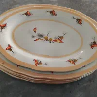 ۵ تا دیس چینی و ۳ تا دیس مرغ‌خوری