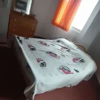 تخت دونفره چوبی نرادباتشک و میزارایش