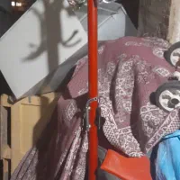 رگال|بندرخت و رخت‌آویز|یاسوج, |دیوار