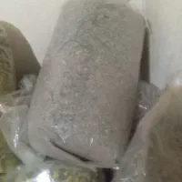 گل ختمی|گل و گیاه طبیعی|پاکدشت, شهرک انقلاب|دیوار