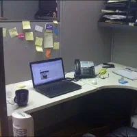 به چند همکار خانم نیازمندیم