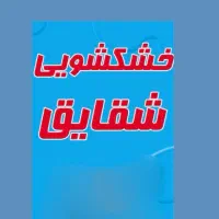 خشک شویی شقایق